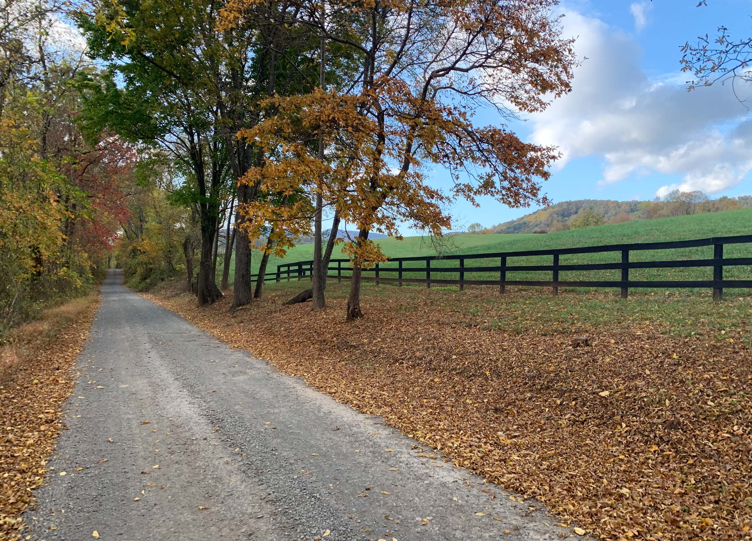 Sharp Rock Road in the Fall